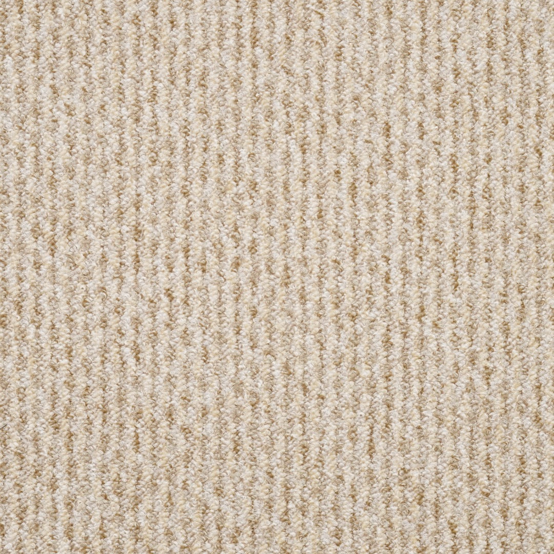 Furlongs Dakar - Conque Carpet – by Furlong Flooring – 1