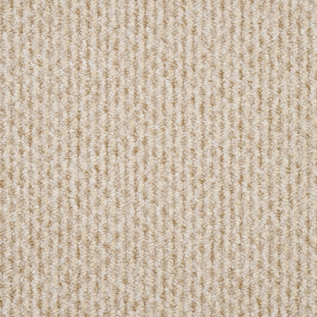 Furlongs Dakar - Conque Carpet – by Furlong Flooring – 1
