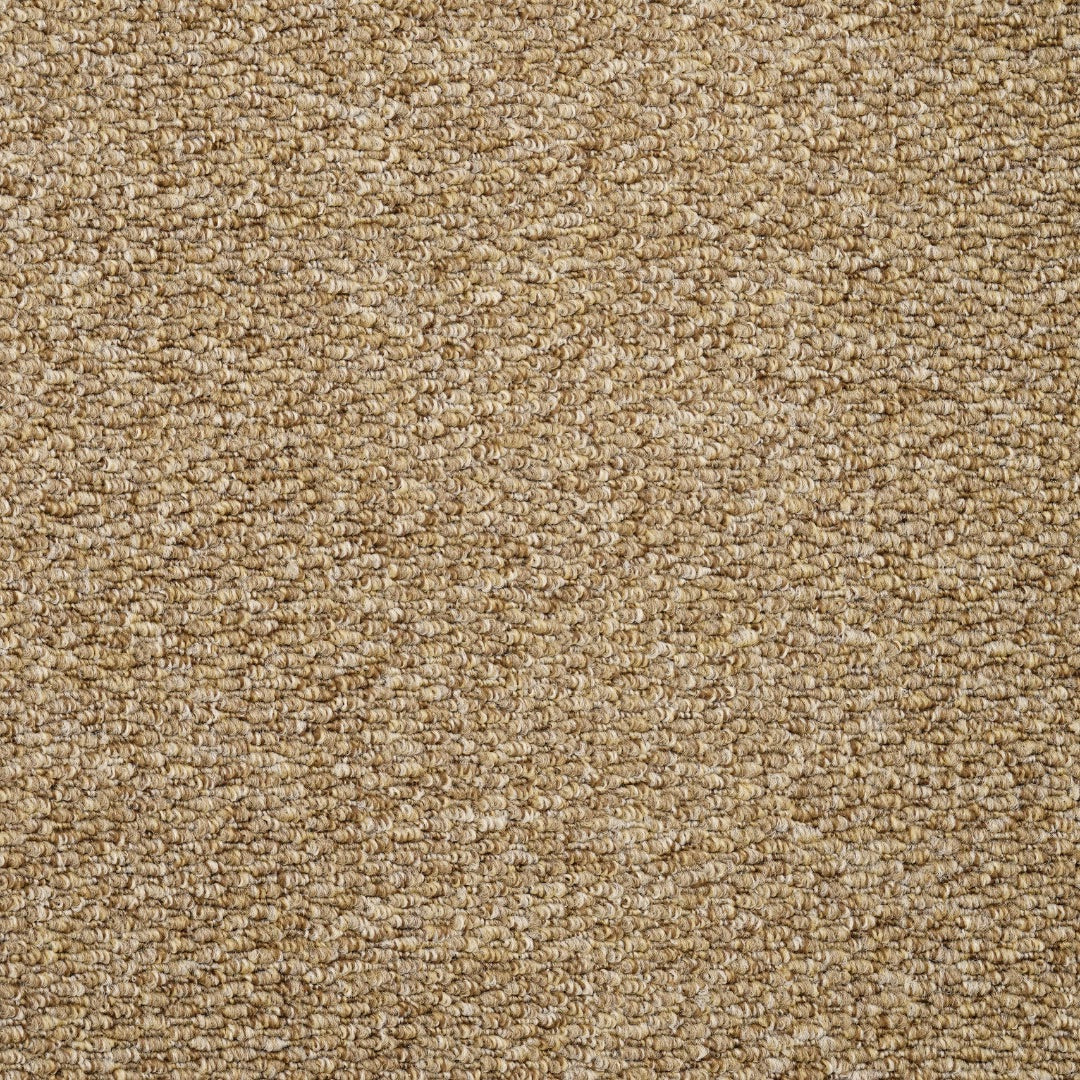 Furlongs Mali - Camel Carpet – by Furlong Flooring – 1