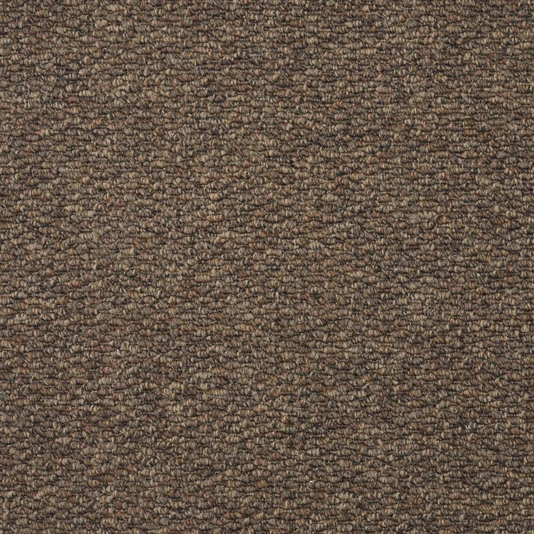 Furlongs Mali - Coffee Carpet – by Furlong Flooring – 1