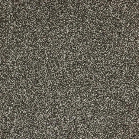 Kingsmead Hawford Deluxe - Peanut Carpet – by Kingsmead Carpets – 1