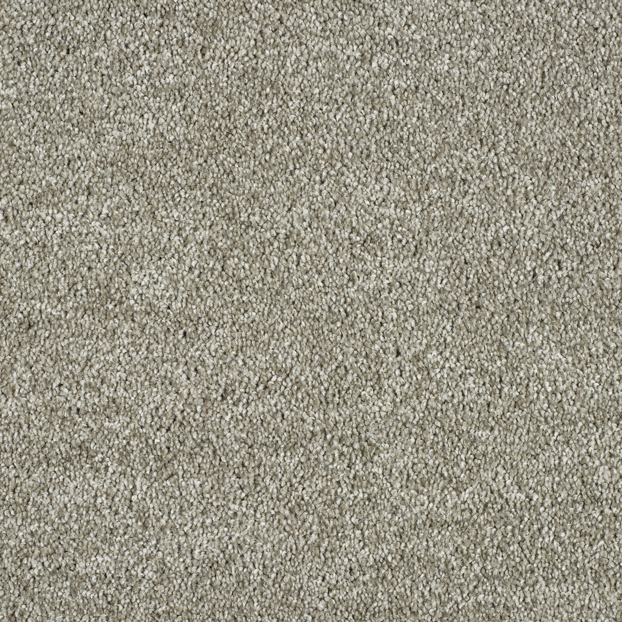 Abingdon Hidden Depths - Harbour Carpet – by Abingdon Flooring – 1