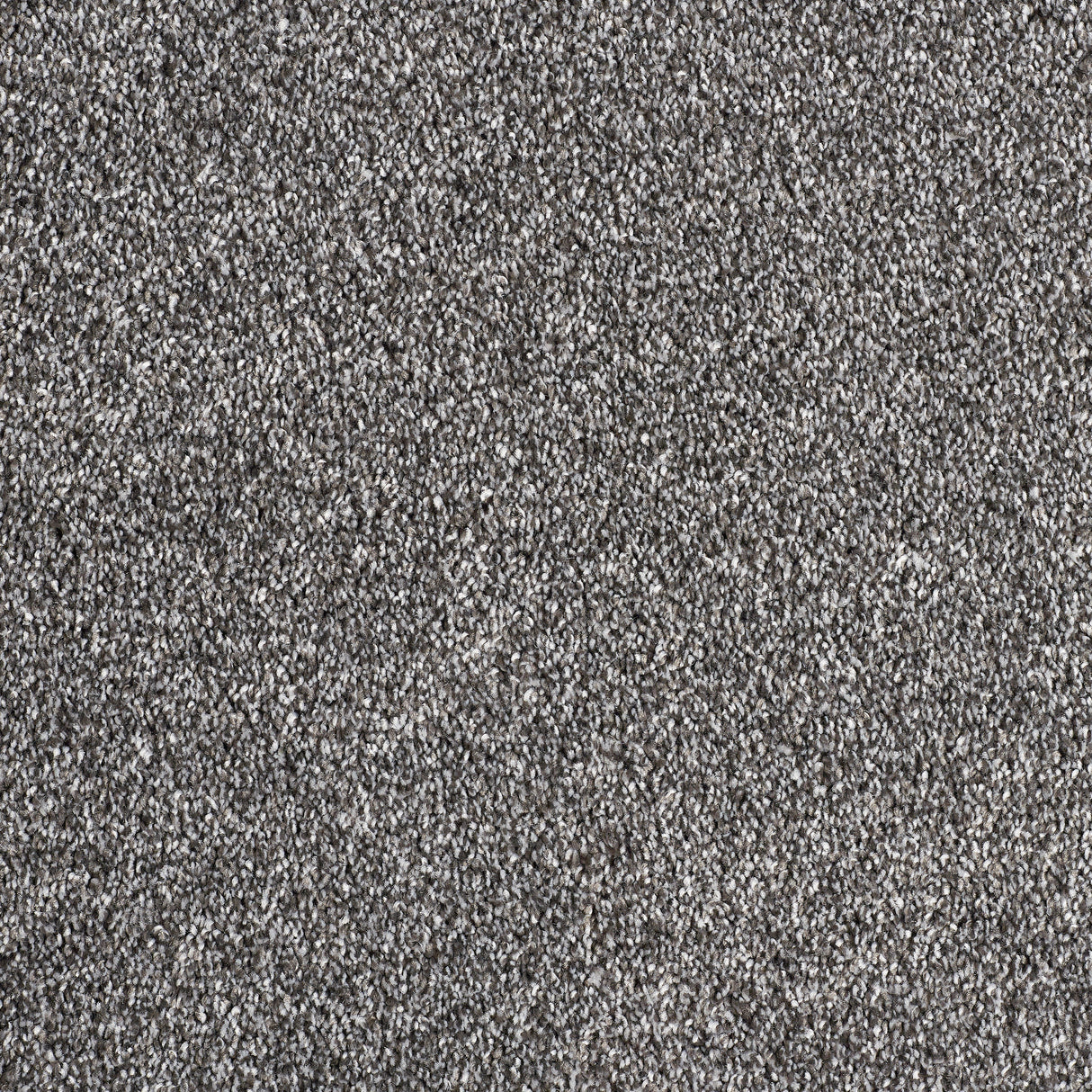 Abingdon Hidden Depths - Shale Carpet – by Abingdon Flooring – 1