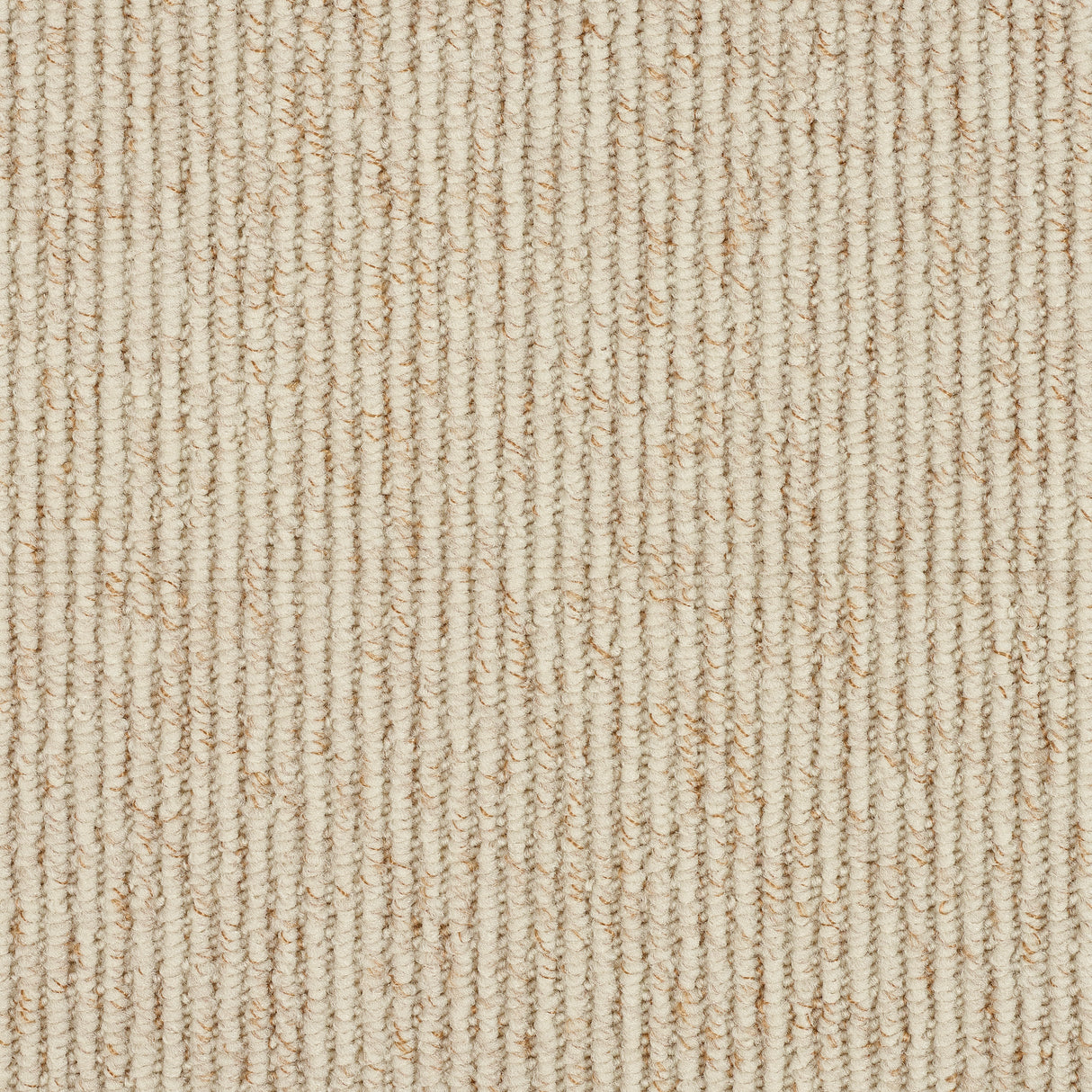 Abingdon Country Linear - Ivory Carpet – by Abingdon Flooring – 1