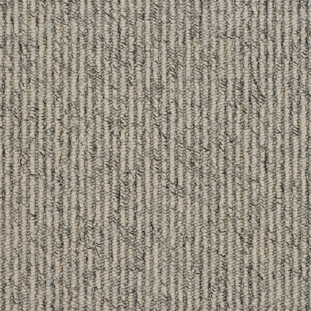 Abingdon Country Linear - Paloma Carpet – by Abingdon Flooring – 1