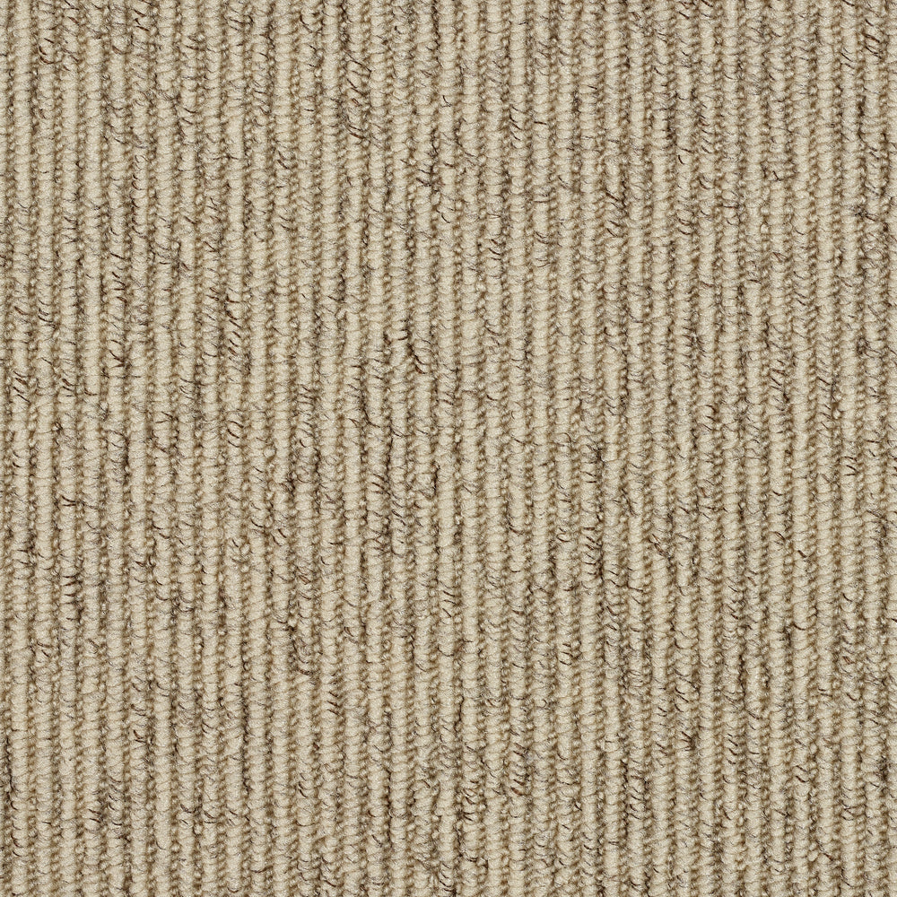 Abingdon Country Linear - Biscotti Carpet – by Abingdon Flooring – 1