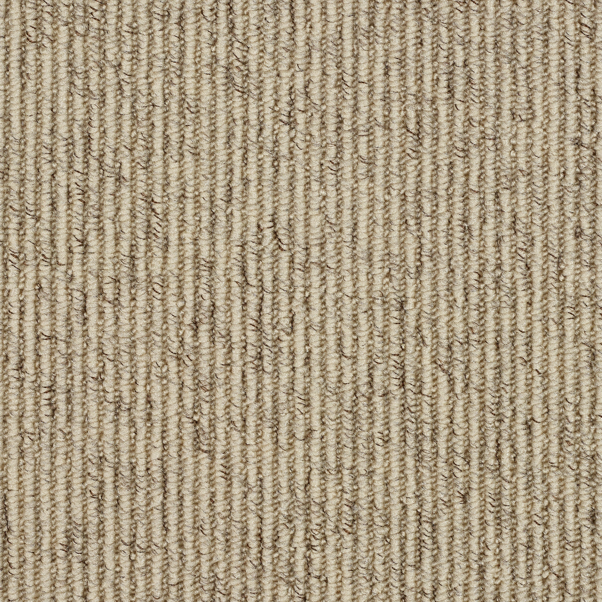 Abingdon Country Linear - Biscotti Carpet – by Abingdon Flooring – 1