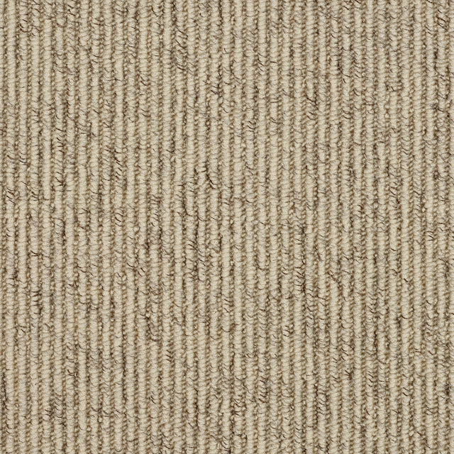 Abingdon Country Linear - Biscotti Carpet – by Abingdon Flooring – 1