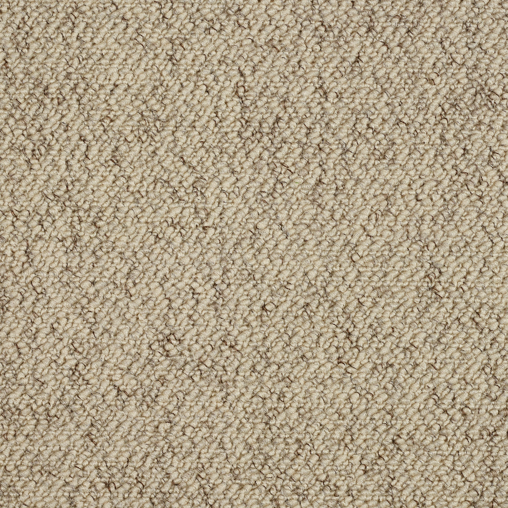Abingdon Country Weave - Biscotti Carpet – by Abingdon Flooring – 1