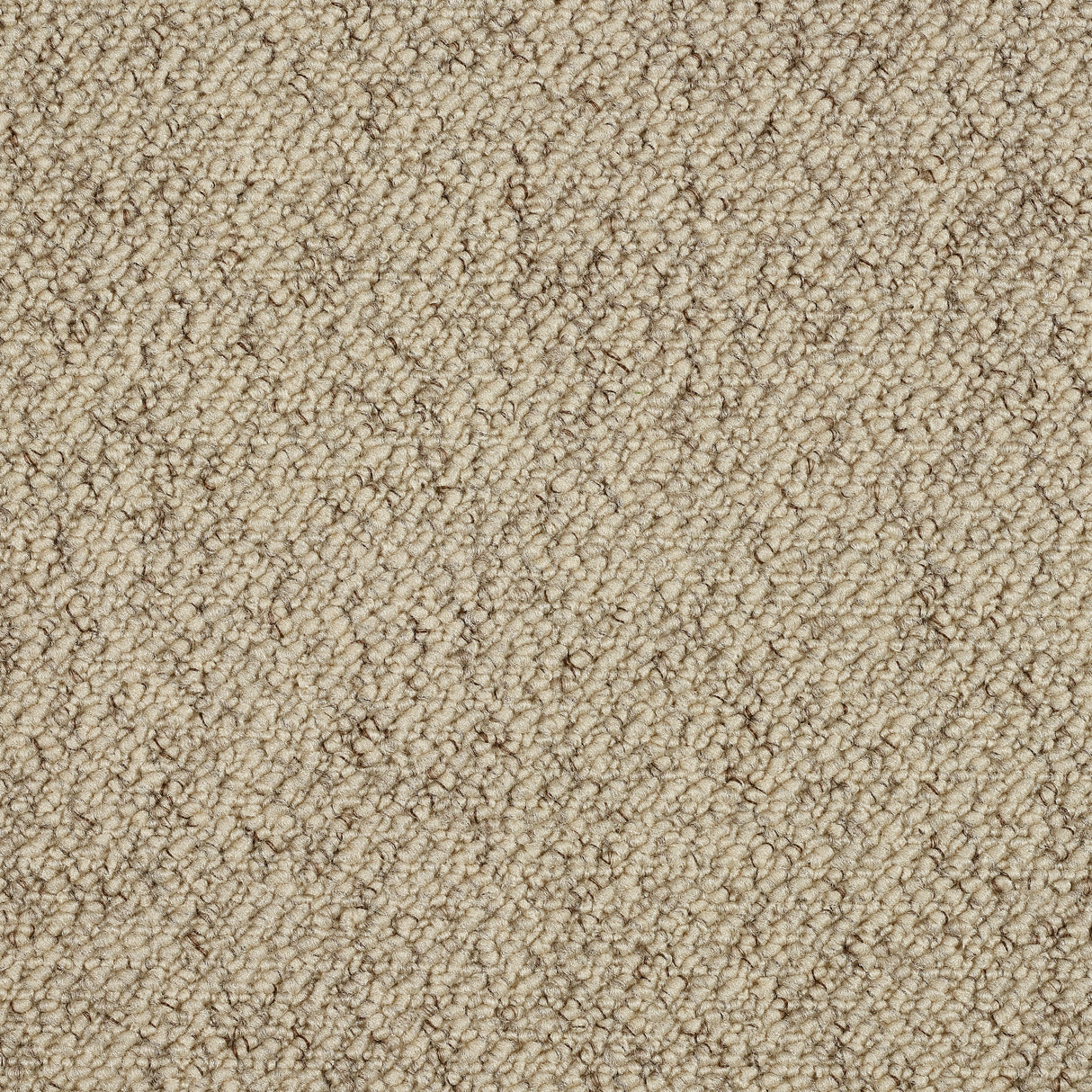 Abingdon Country Weave - Biscotti Carpet – by Abingdon Flooring – 1