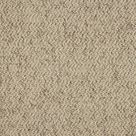 Abingdon Country Weave - Biscotti Carpet – by Abingdon Flooring – 1