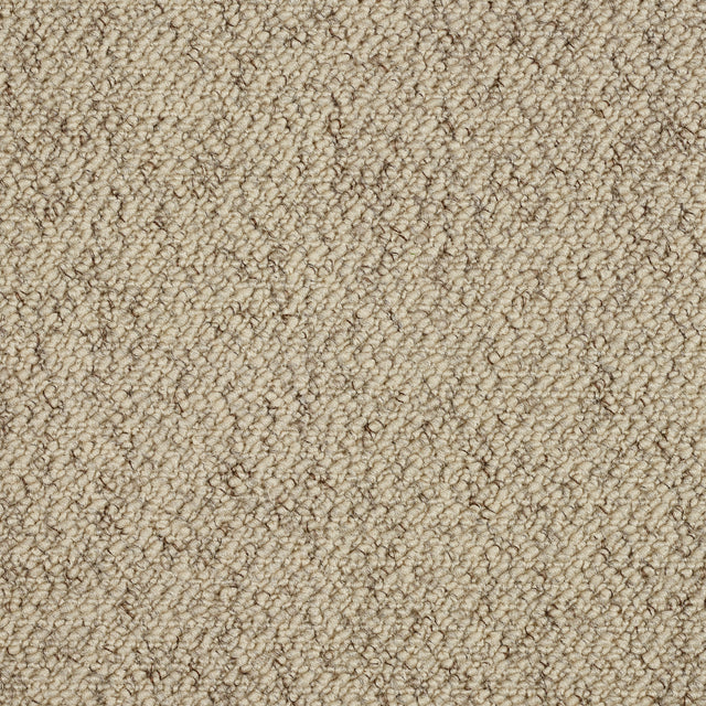 Abingdon Country Weave - Biscotti Carpet – by Abingdon Flooring – 1