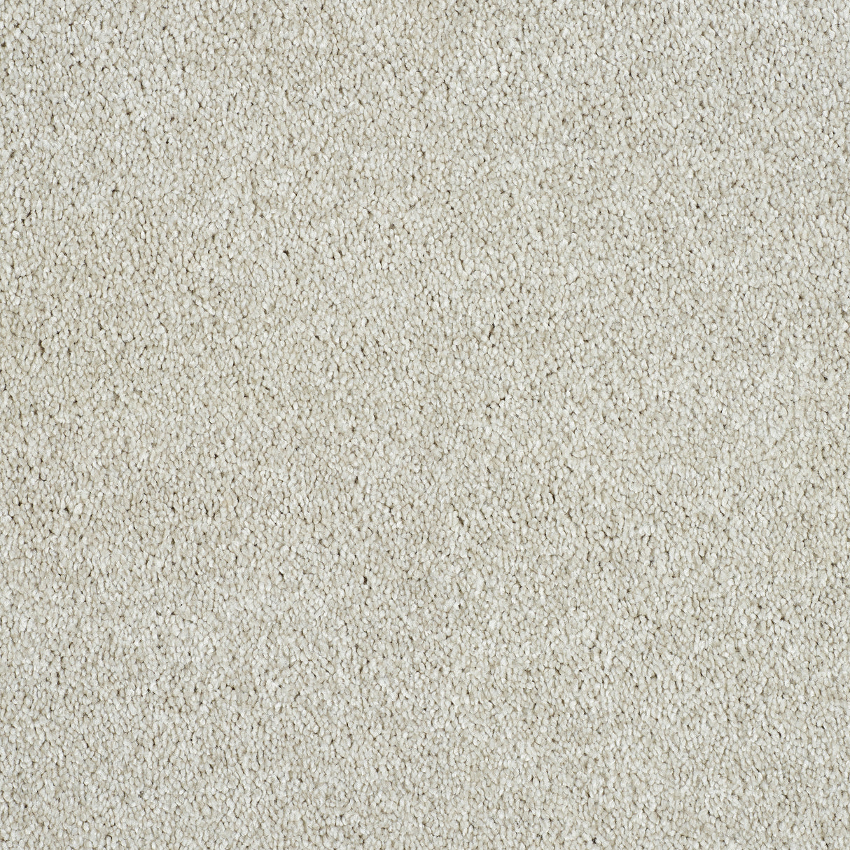 Abingdon Hidden Depths - Frost Carpet – by Abingdon Flooring – 1