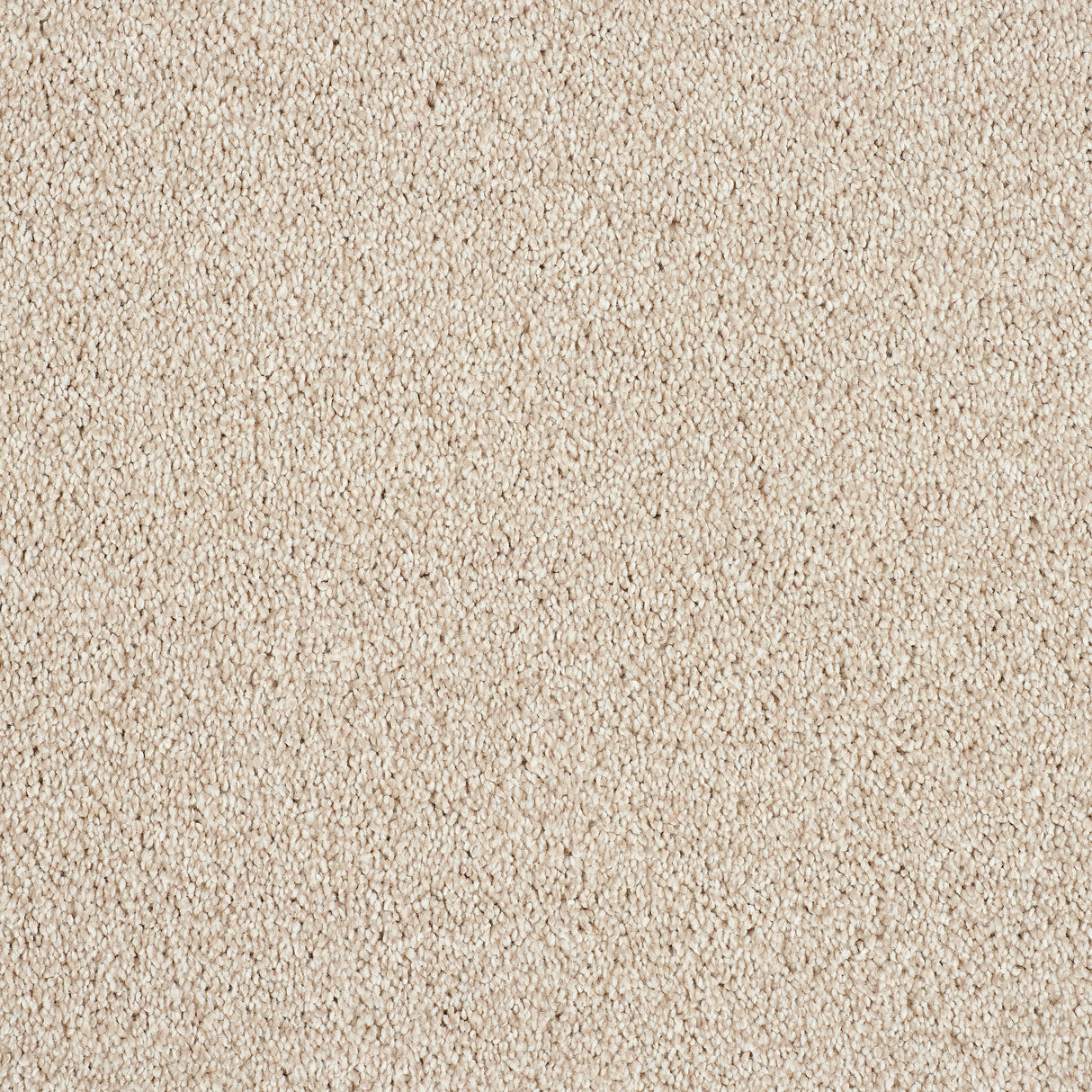 Abingdon Hidden Depths - Chiffon Carpet – by Abingdon Flooring – 1