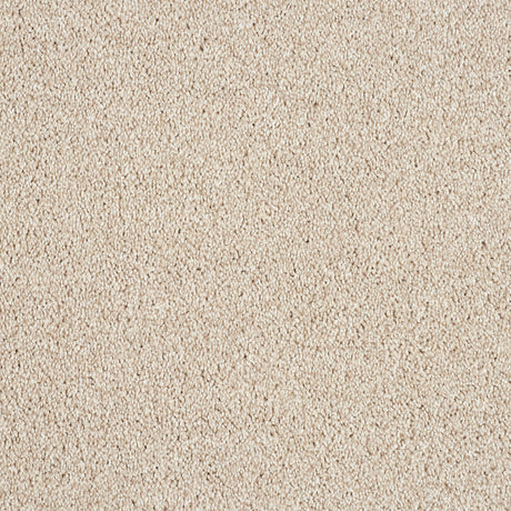 Abingdon Hidden Depths - Chiffon Carpet – by Abingdon Flooring – 1