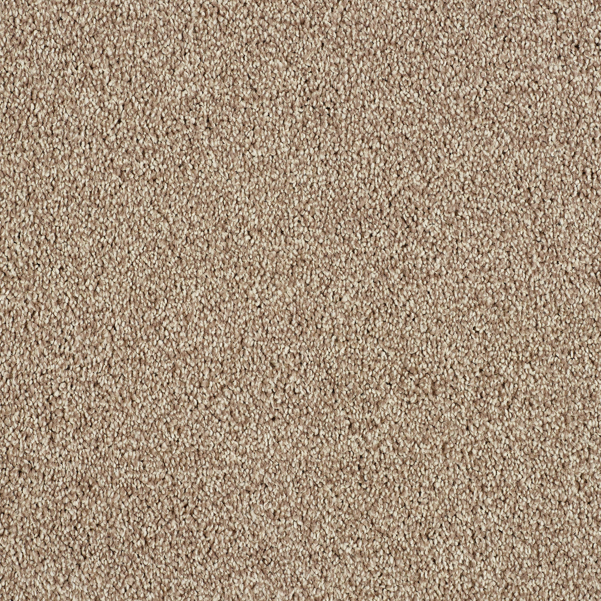 Abingdon Hidden Depths - Tapestry Carpet – by Abingdon Flooring – 1