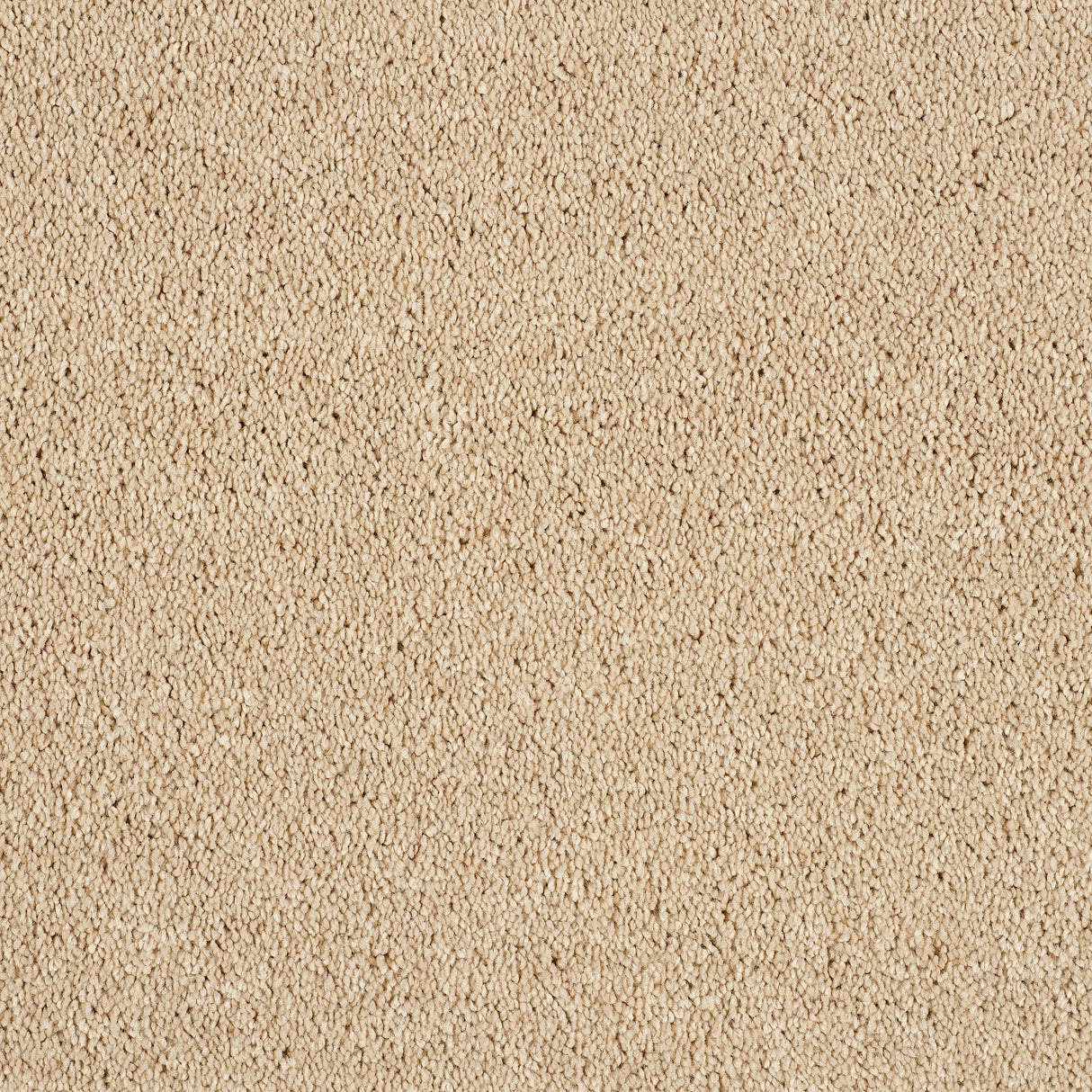 Abingdon Hidden Depths - Caramel Cream Carpet – by Abingdon Flooring – 1
