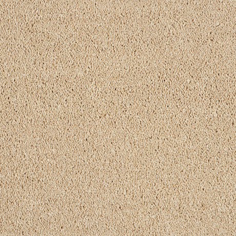 Abingdon Hidden Depths - Caramel Cream Carpet – by Abingdon Flooring – 1