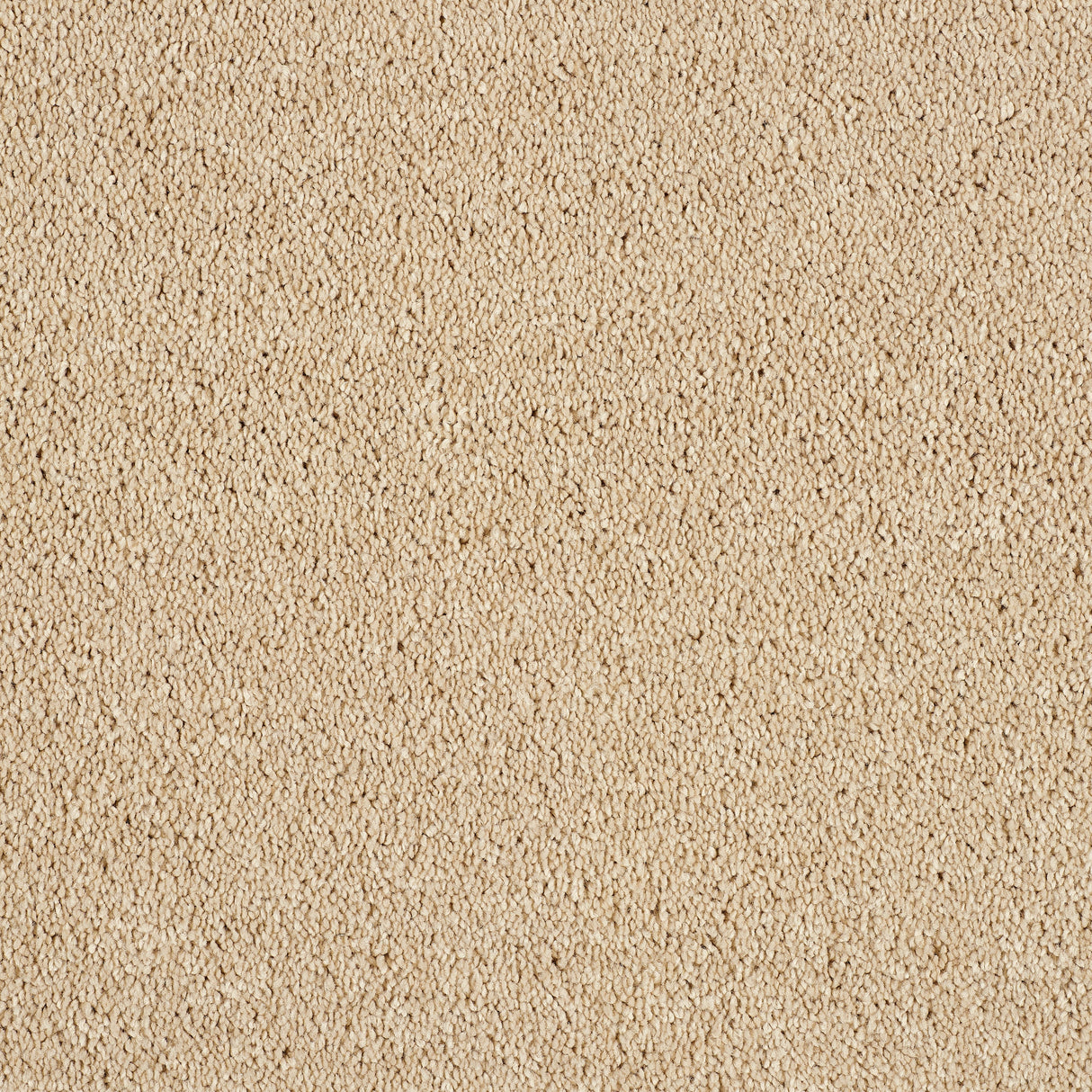 Love Story Hidden Depths Carpet