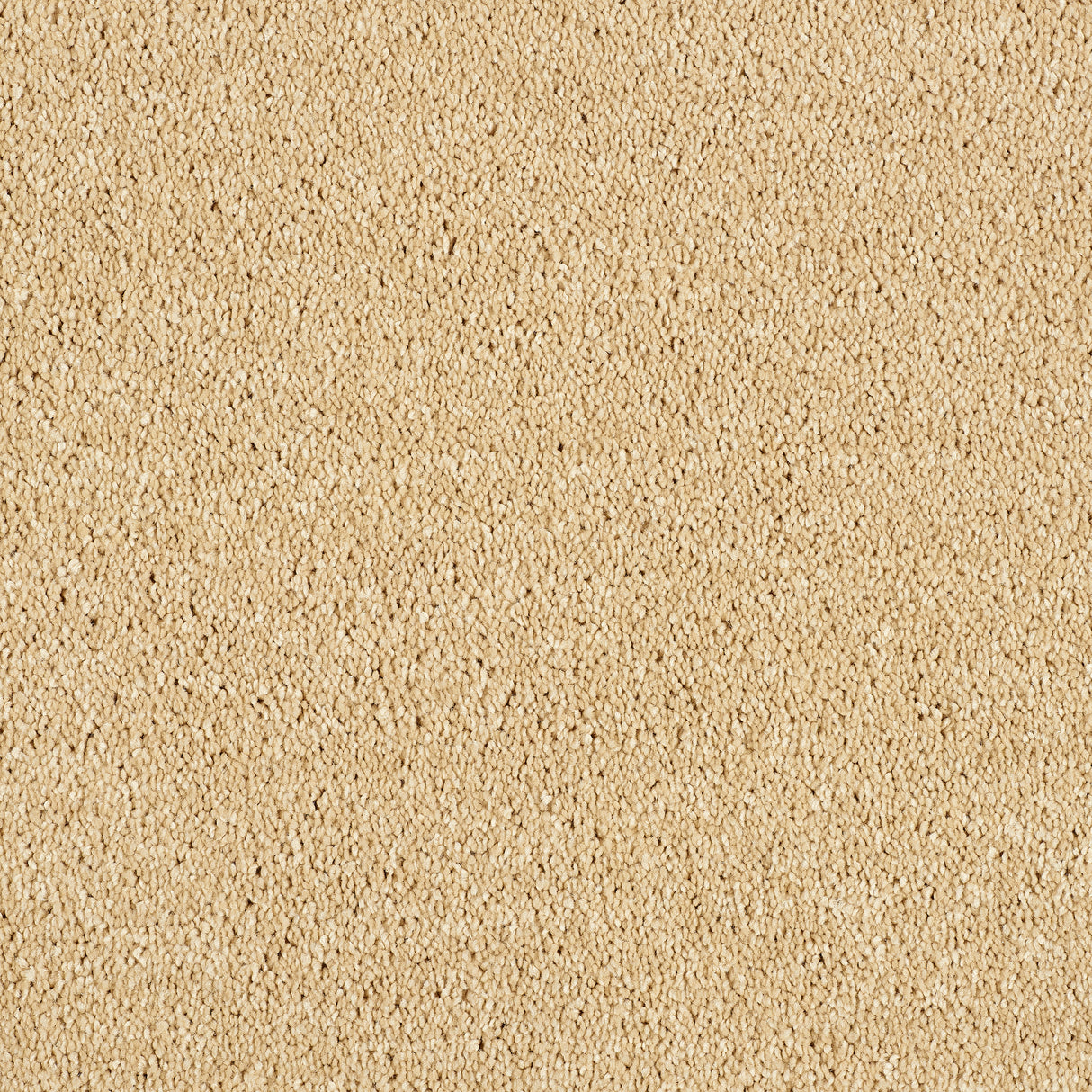 Abingdon Hidden Depths - Soft Sandstone Carpet – by Abingdon Flooring – 1
