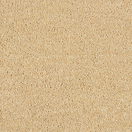 Abingdon Hidden Depths - Soft Sandstone Carpet – by Abingdon Flooring – 1