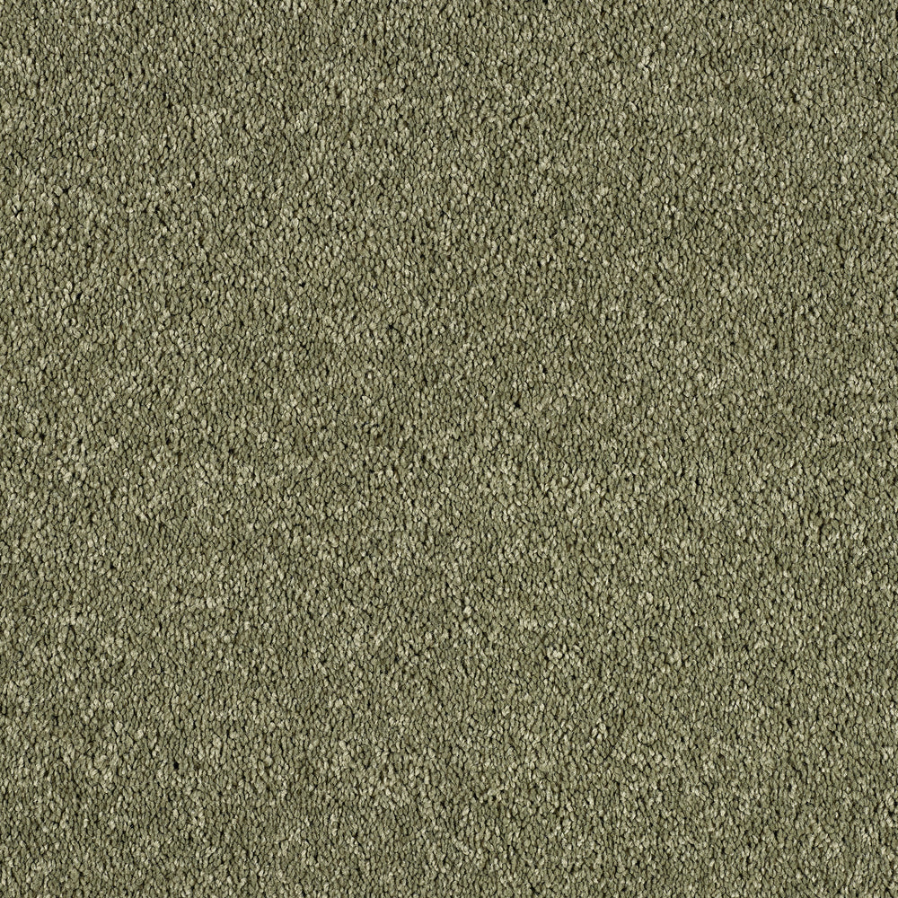 Abingdon Hidden Depths - Oasis Carpet – by Abingdon Flooring – 1