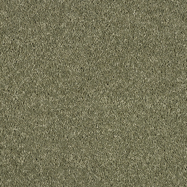Abingdon Hidden Depths - Oasis Carpet – by Abingdon Flooring – 1