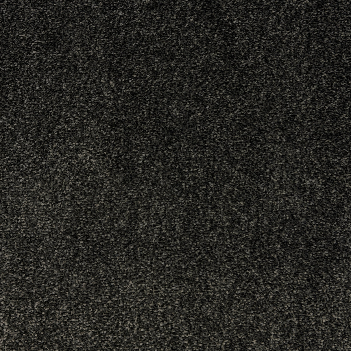 Elevate Twist Carpet