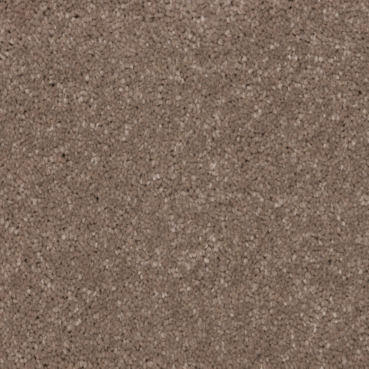 Knightlife Saxony Carpet