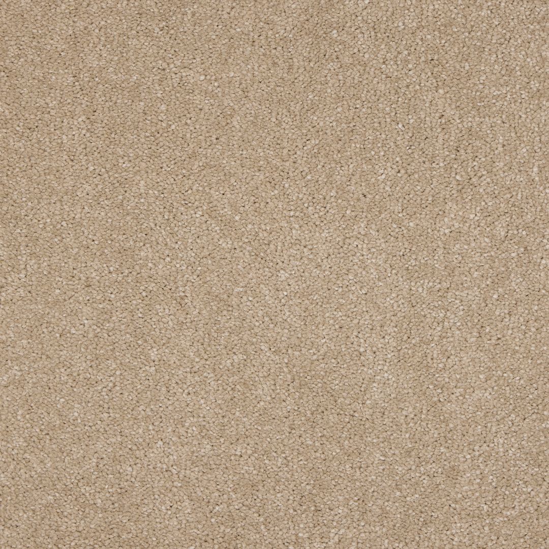 Euphoria Saxony- Mink Carpet – by Abingdon Flooring – 1