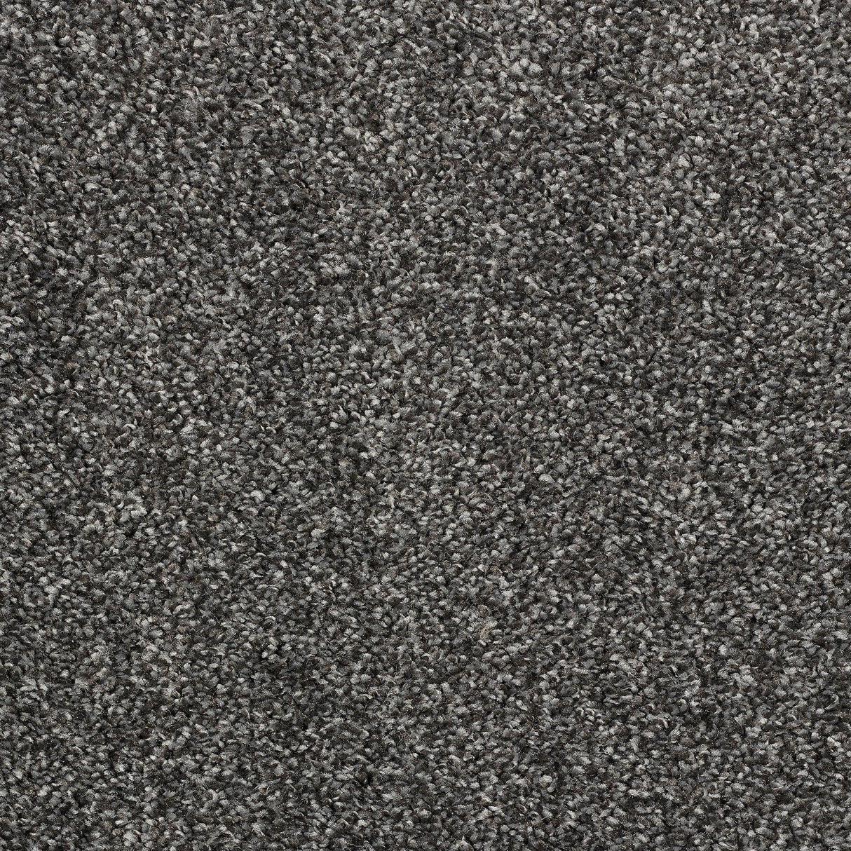 Abingdon Stainfree Affluence - Platinum Carpet – by Abingdon Flooring – 1