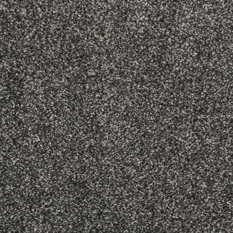 Abingdon Stainfree Affluence - Platinum Carpet – by Abingdon Flooring – 1