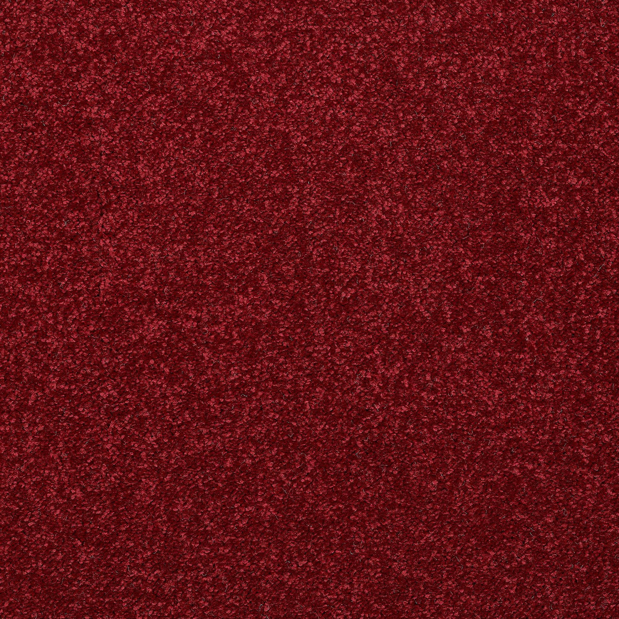 Abingdon Stainfree Caress - Rioja Carpet – by Abingdon Flooring – 1