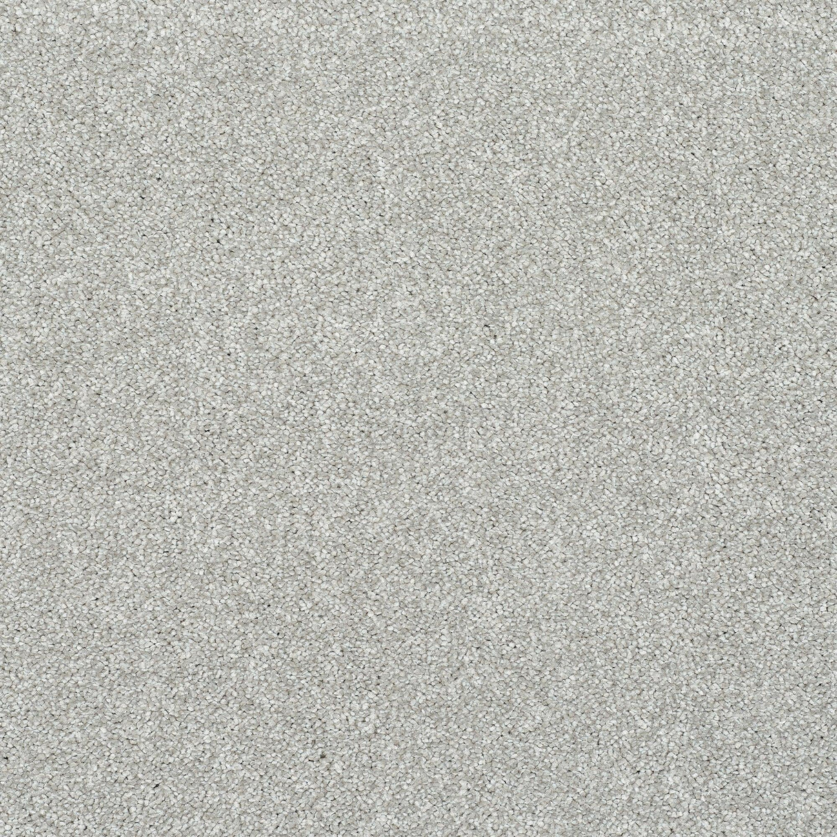 StainFree Caress Carpet