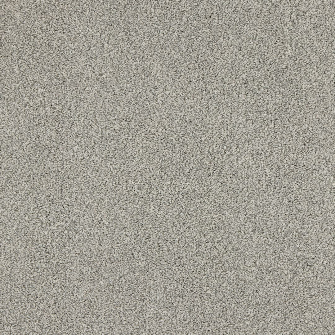 Euphoria Saxony- Seal Carpet – by Abingdon Flooring – 1