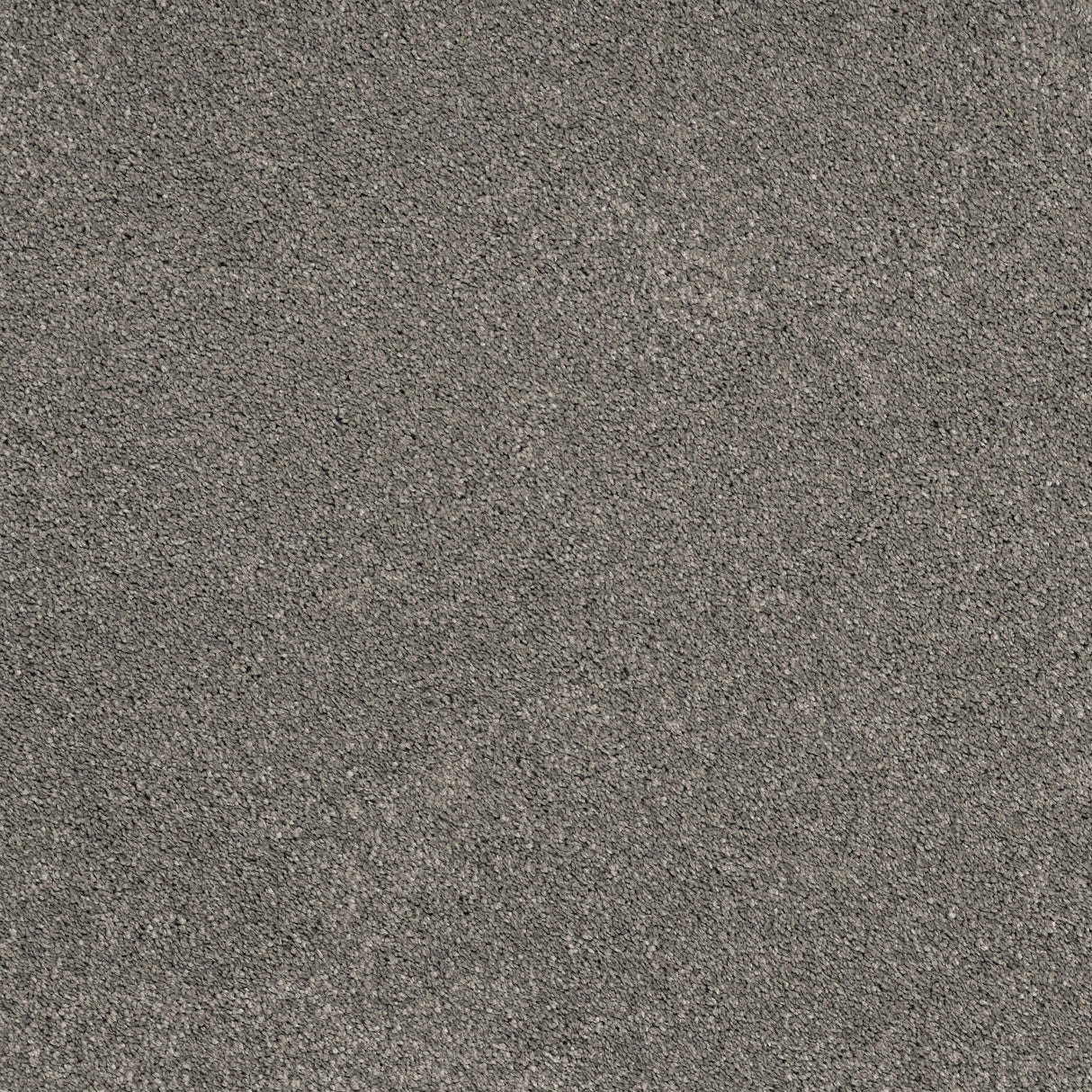 Furlongs Solitaire - Oca Carpet – by Furlong Flooring – 1