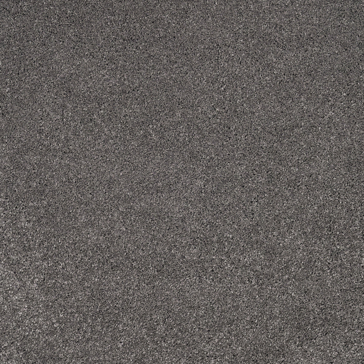 Furlongs Solitaire - Basalt Carpet – by Furlong Flooring – 1