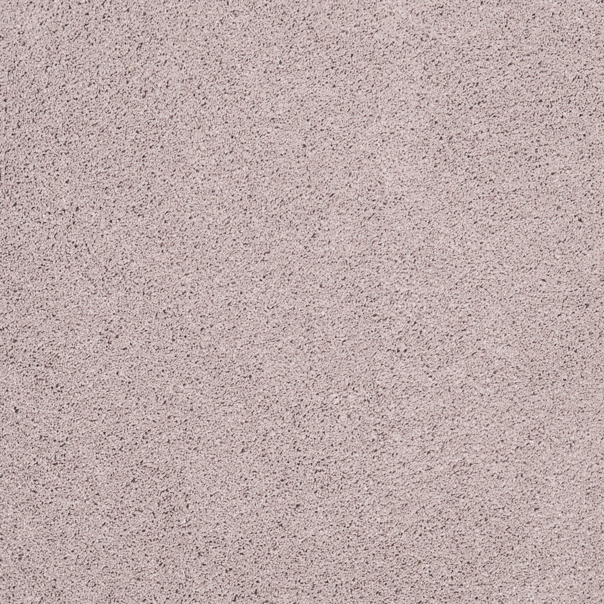 Furlongs Solitaire - Orchid Carpet – by Furlong Flooring – 1