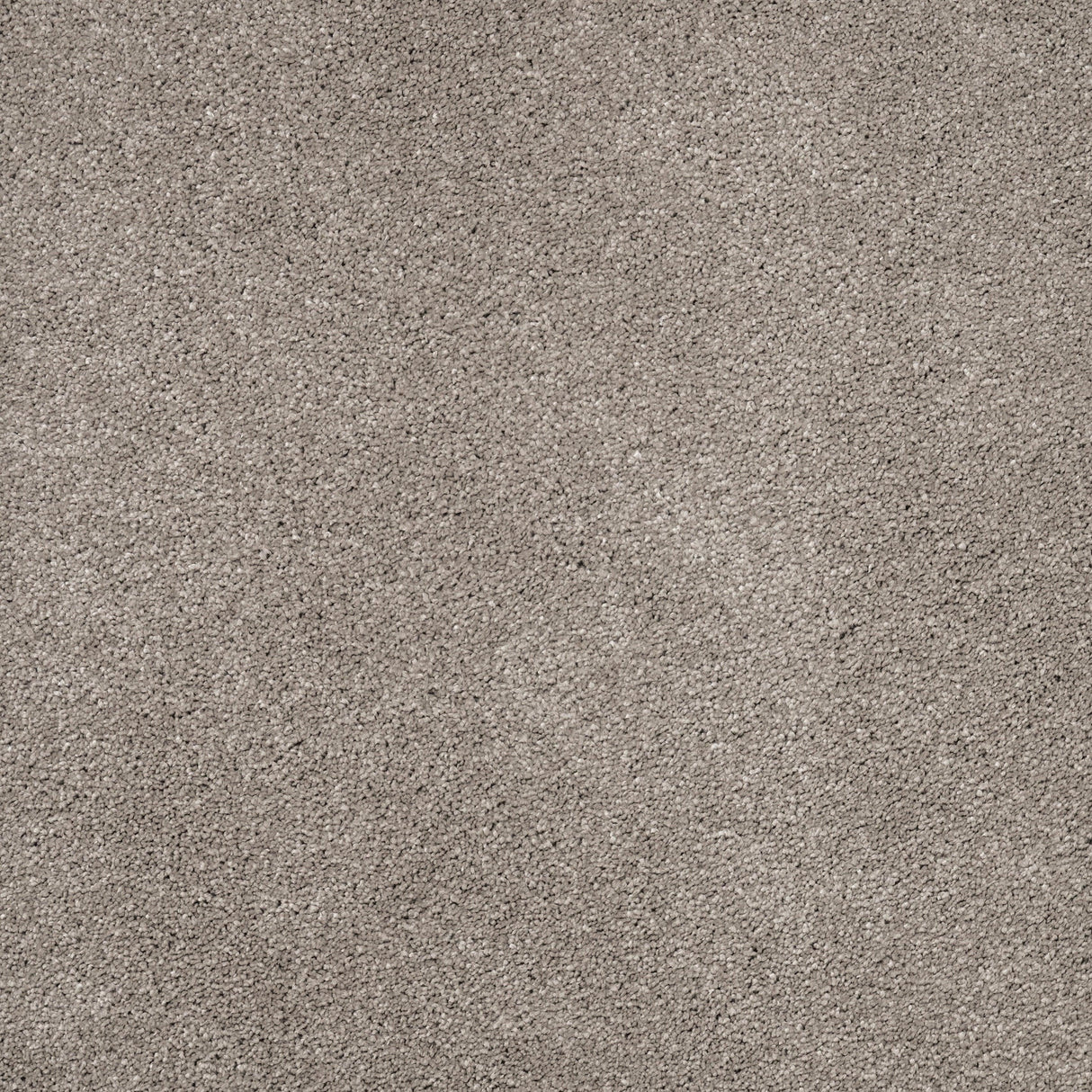 Furlongs Solitaire - Tordela Carpet – by Furlong Flooring – 1