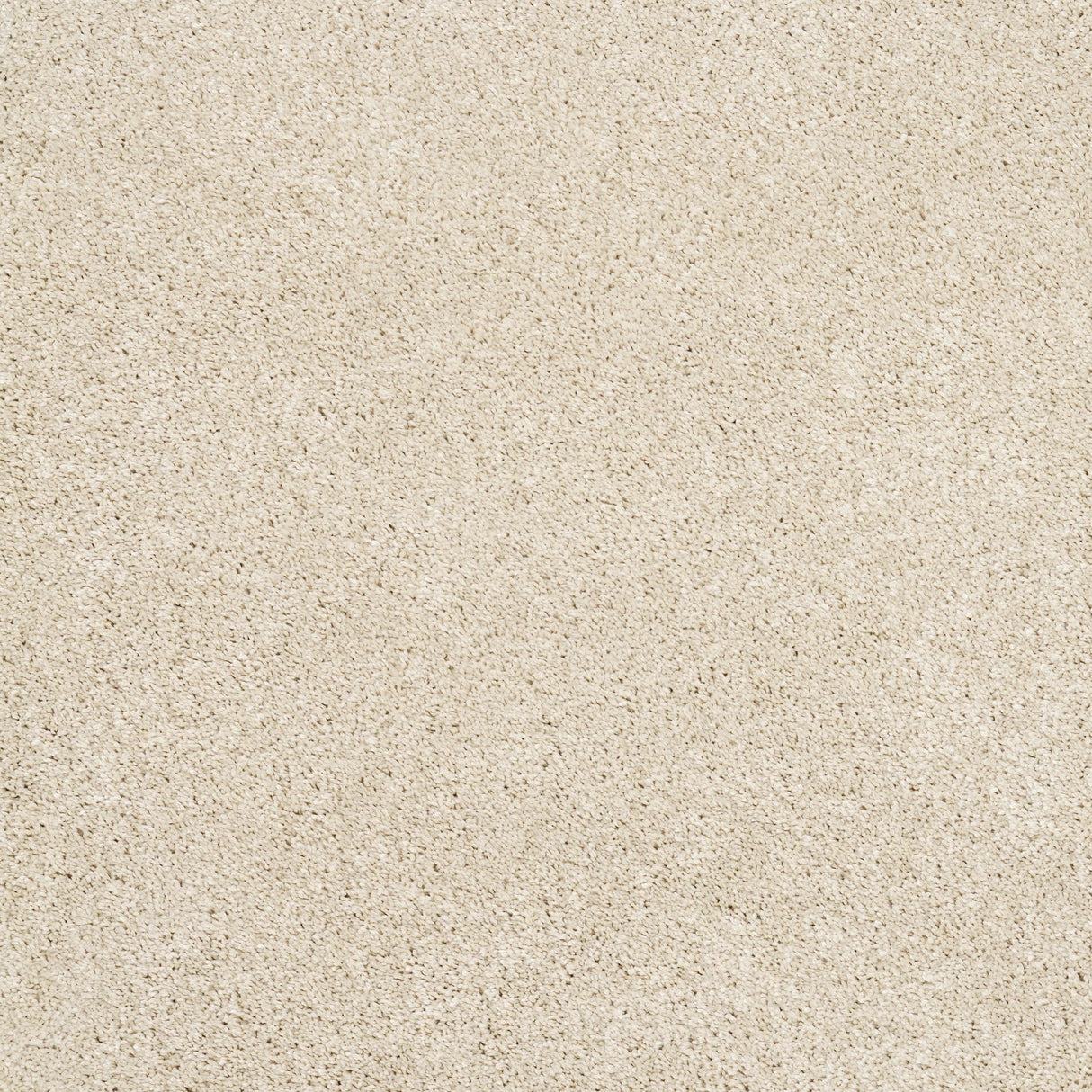 Furlongs Solitaire - Raw Silk Carpet – by Furlong Flooring – 1