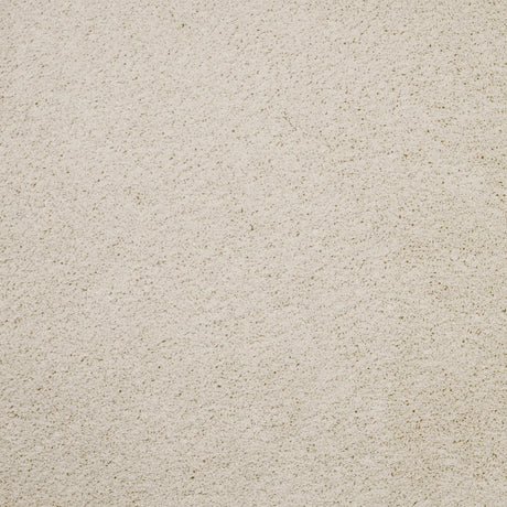 Furlongs Solitaire - Meringue Carpet – by Furlong Flooring – 1