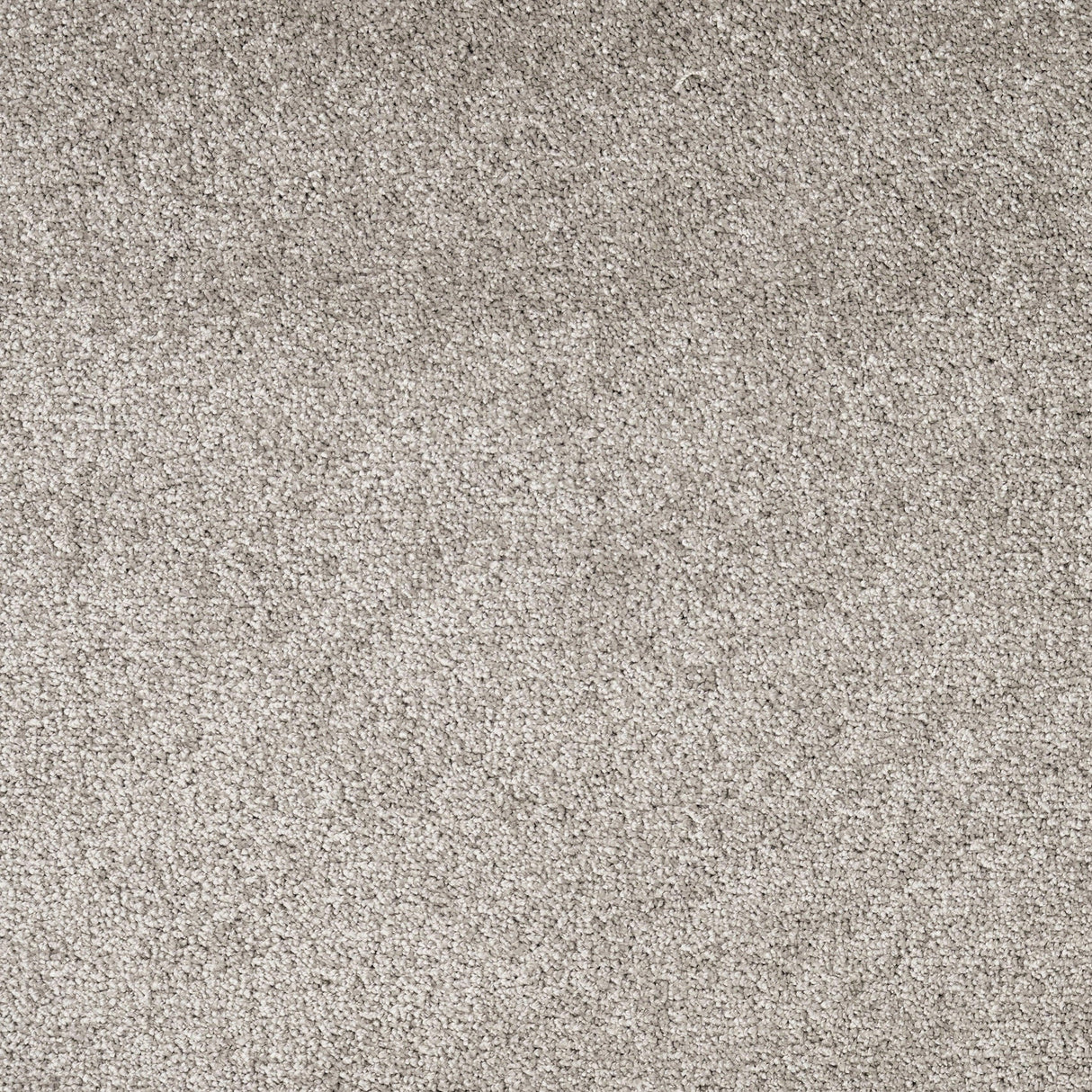 Furlongs Solitaire - Argento Carpet – by Furlong Flooring – 1