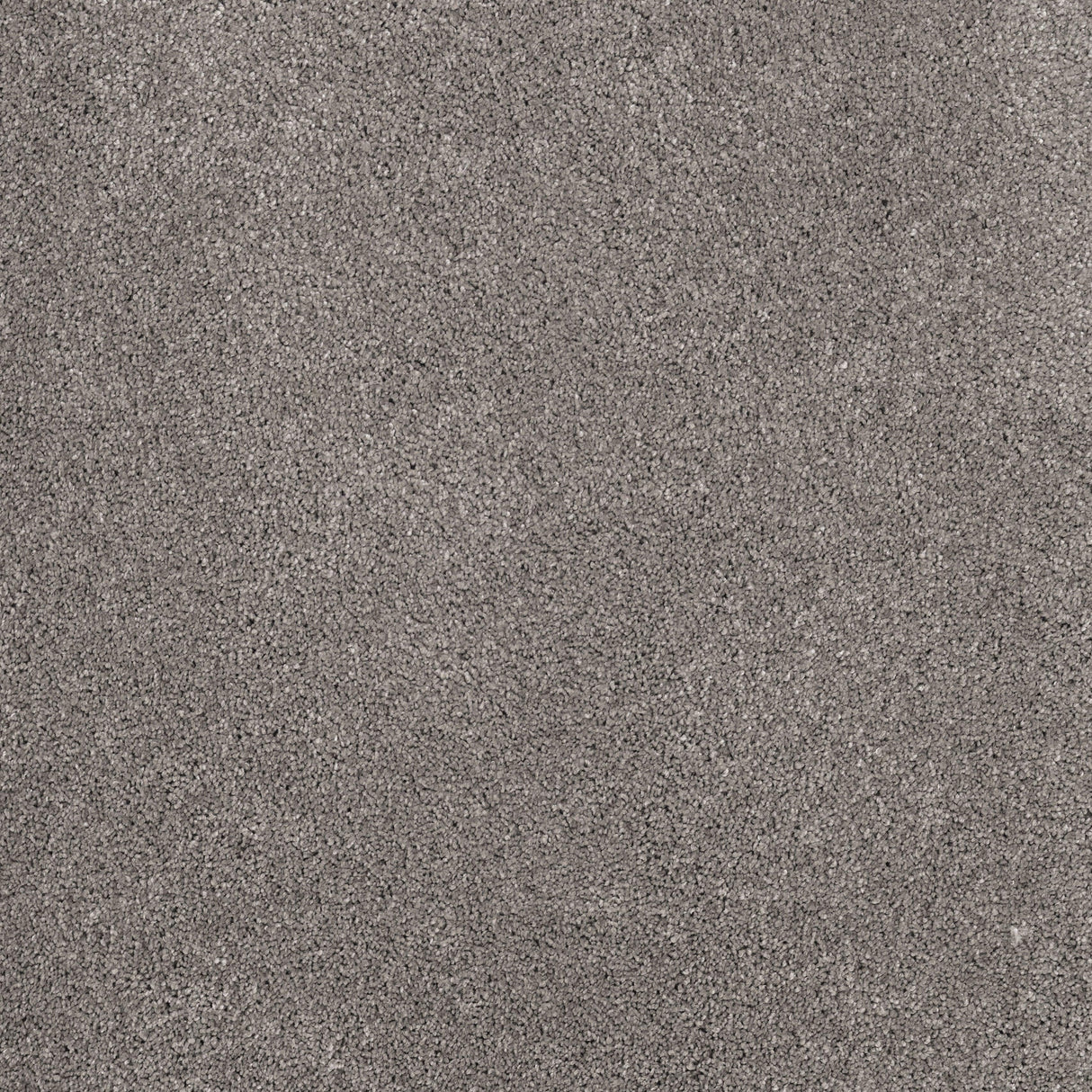 Furlongs Solitaire - Chinchilla Carpet – by Furlong Flooring – 1