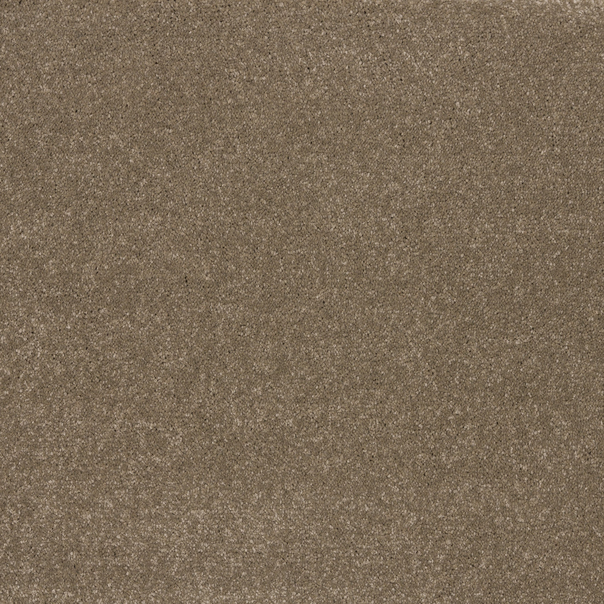 Ibexx Temperament soft short pile twist carpet, hard-wearing in Confident Grey