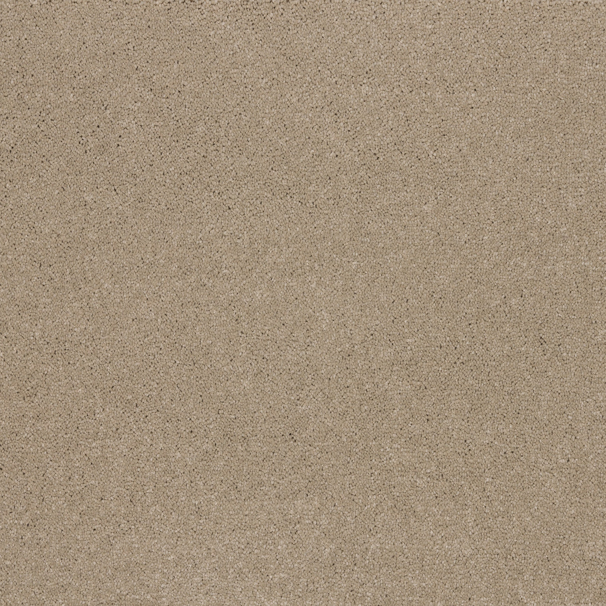 Ibexx Temperament soft short pile twist carpet, soft underfoot in Confident Grey