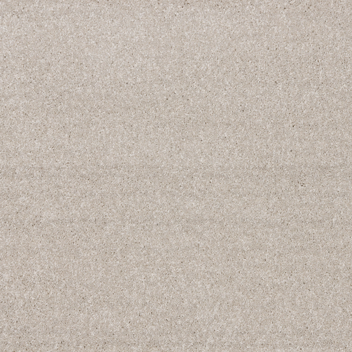 Timeless Elegance Elite Carpet