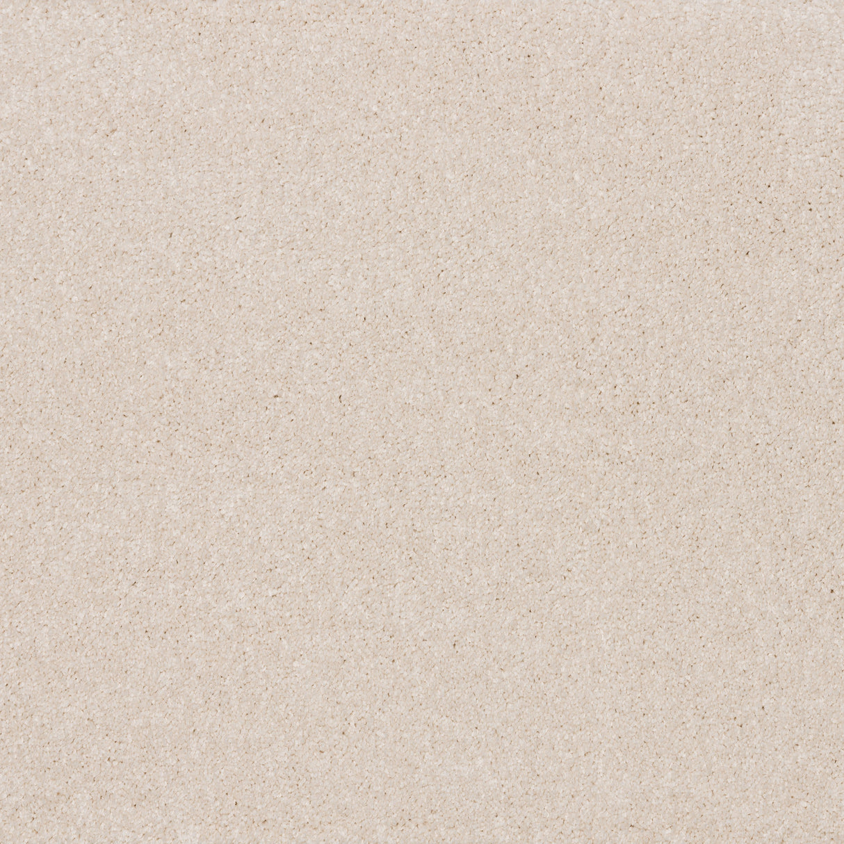 Timeless Elegance Elite Carpet