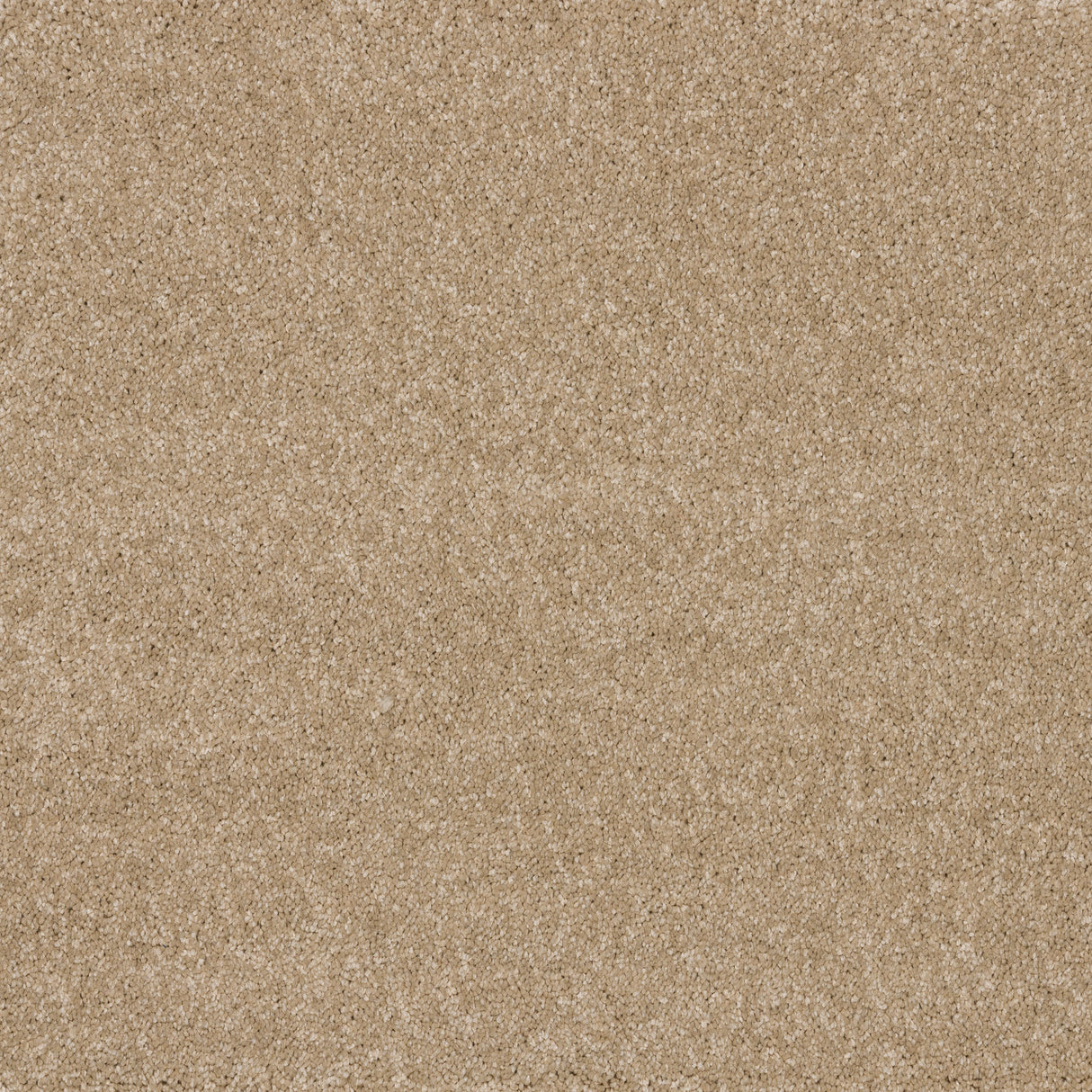 Timeless Elegance Elite Carpet