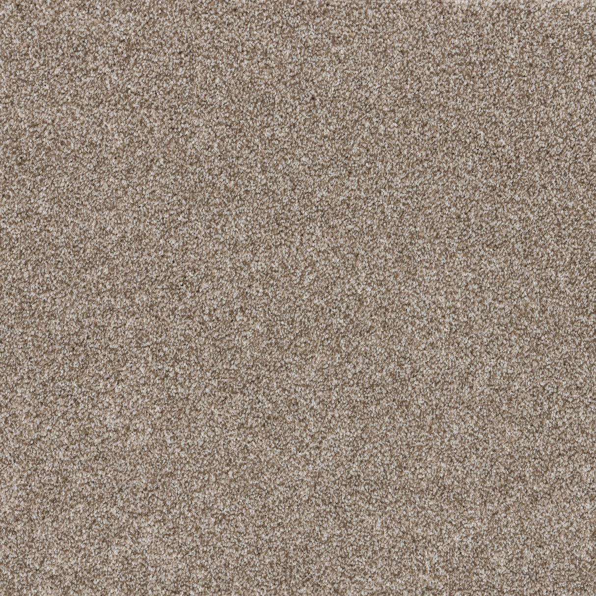 Timeless Elegance Elite Carpet