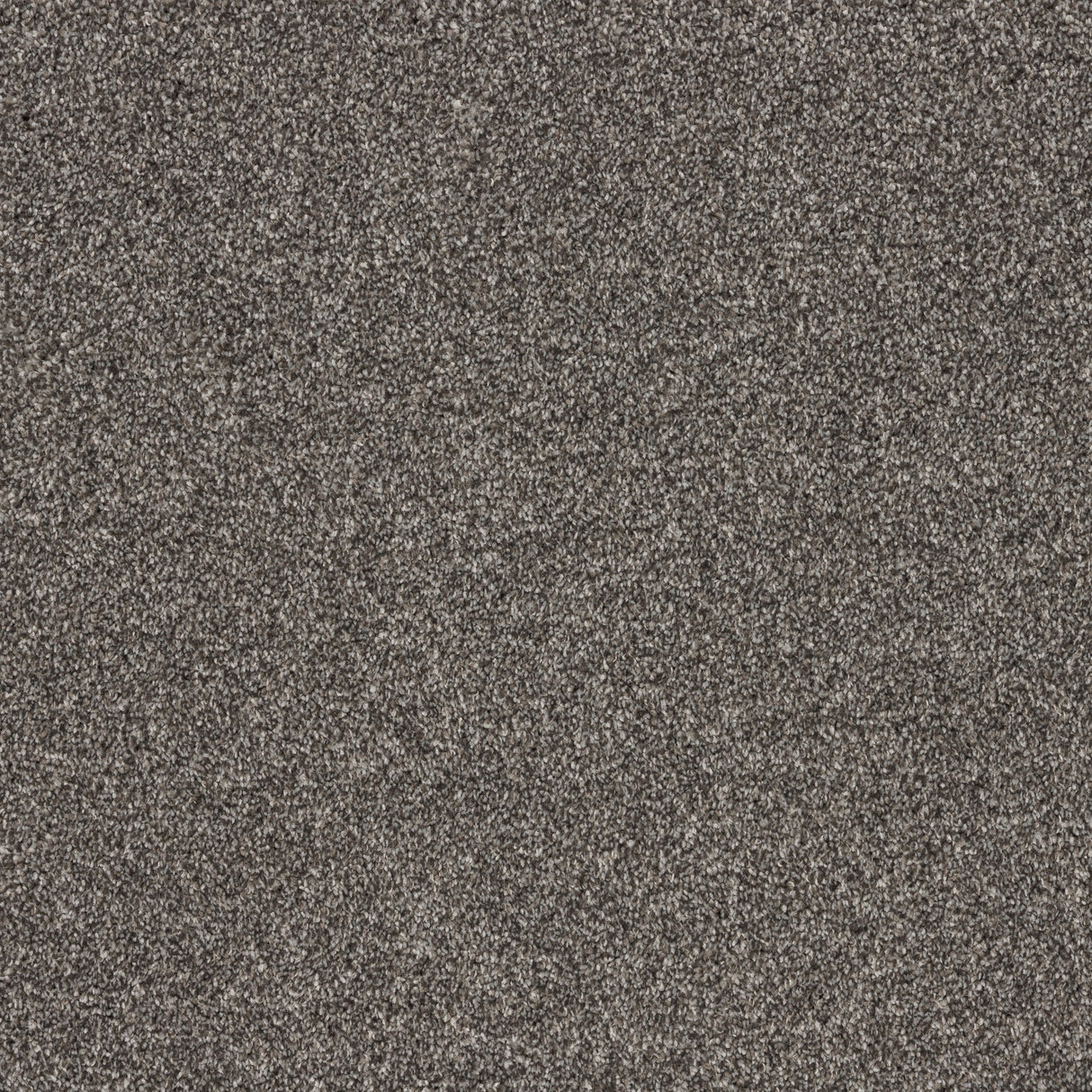 Timeless Elegance Elite Carpet